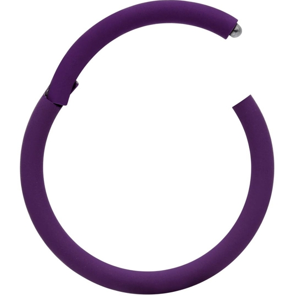 18 Gauge 3/8 Purple Matte Cartilage Hinged Segment Ring - Picture 2 of 3